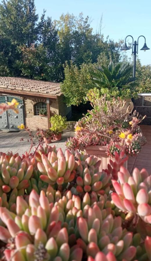 La Casa Sull'Aia,Av Acomodação com café da manhã Santo Stefano del Sole Exterior foto